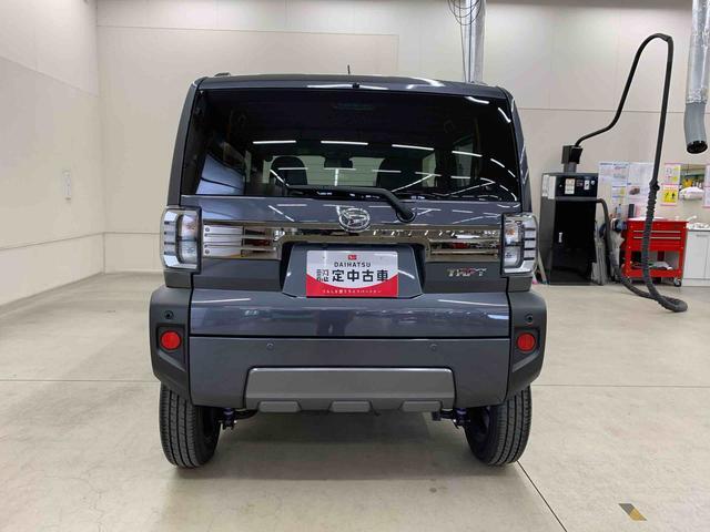 Daihatsu Taft 6