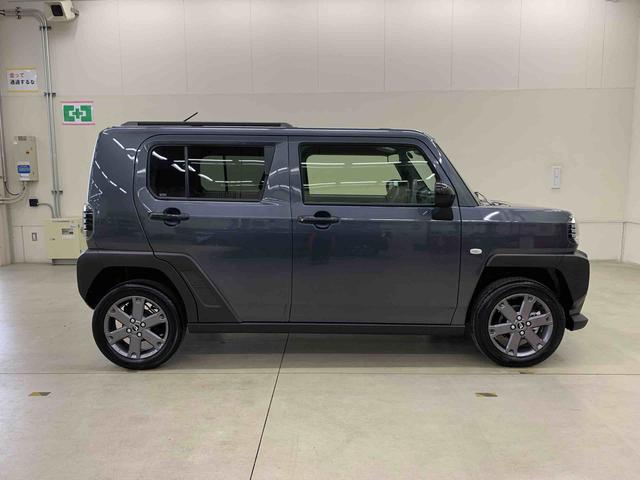 Daihatsu Taft 7