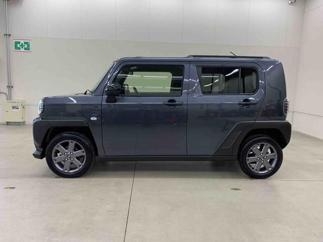 Daihatsu Taft 8