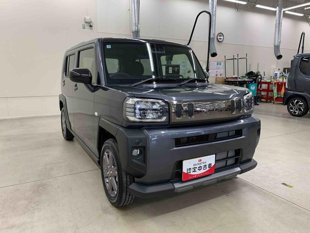 Daihatsu Taft 9