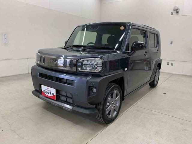 Daihatsu Taft 10