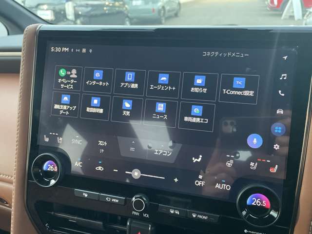 Toyota Vellfire 11