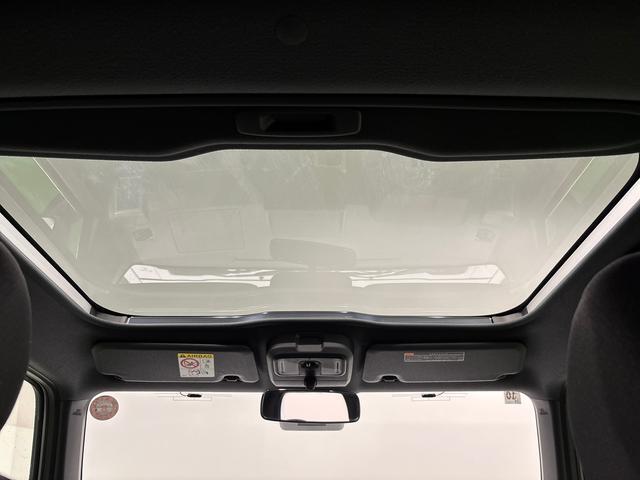 Daihatsu Taft 11