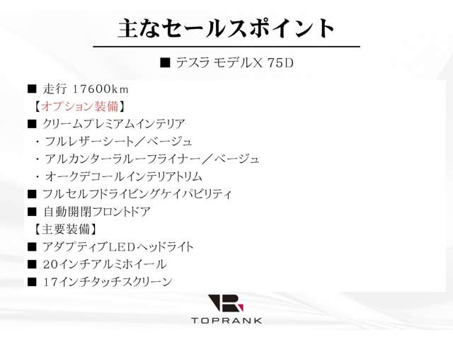 Tesla モデルX 5