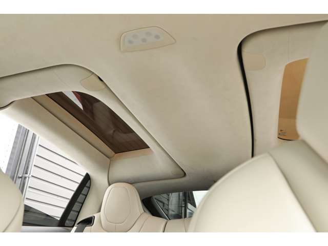 Tesla モデルX 10