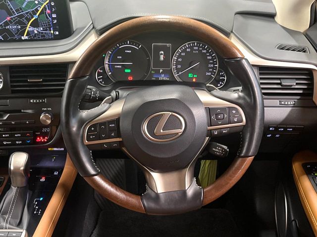 Lexus RX 11
