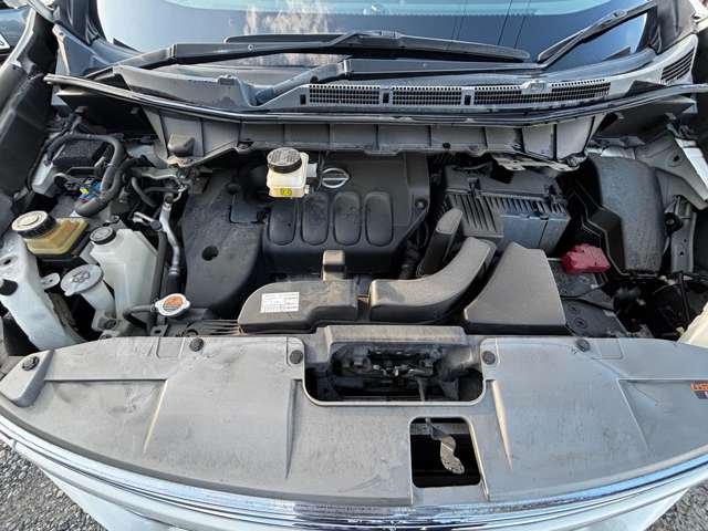 Nissan Elgrand 5