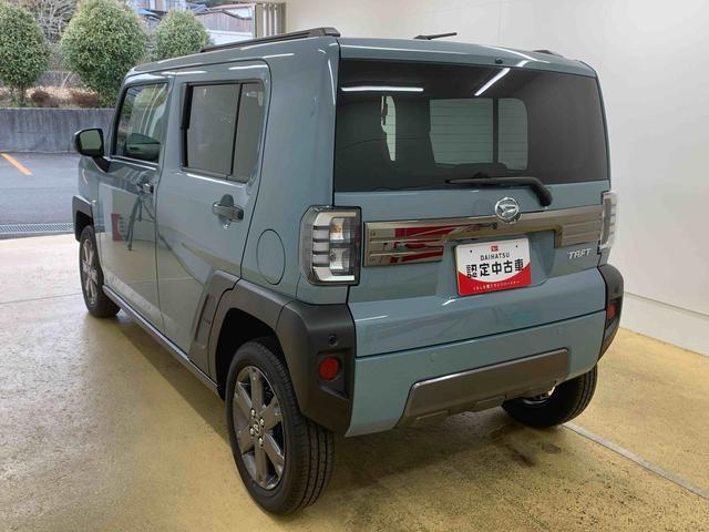 Daihatsu Taft 6