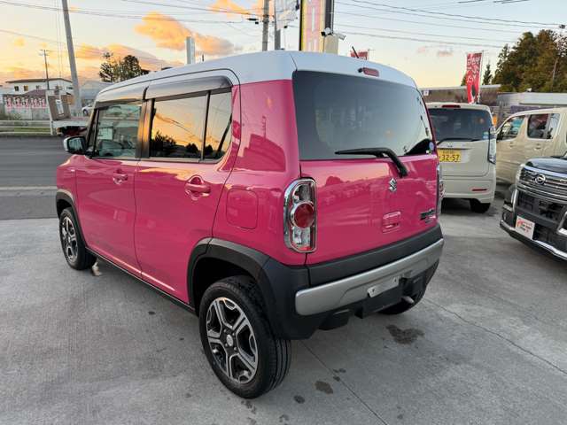 Suzuki Hustler 7