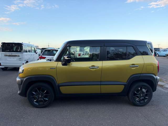 Suzuki XBEE 8