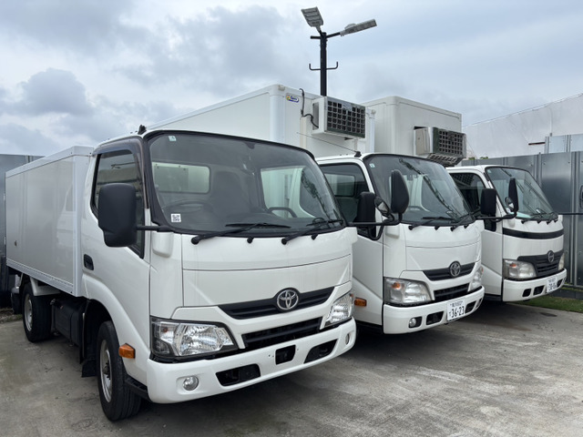 Hino Dutro 8