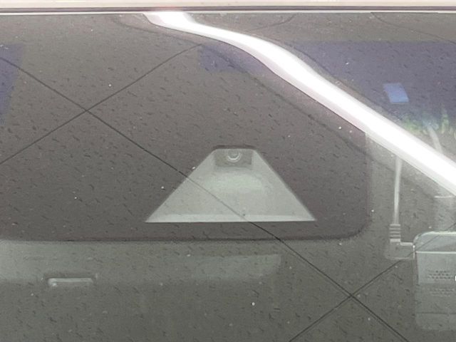 Nissan Elgrand 7