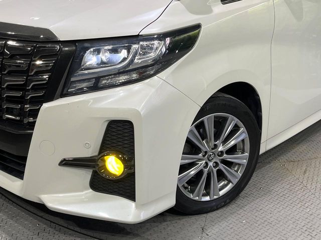 Toyota Alphard 12