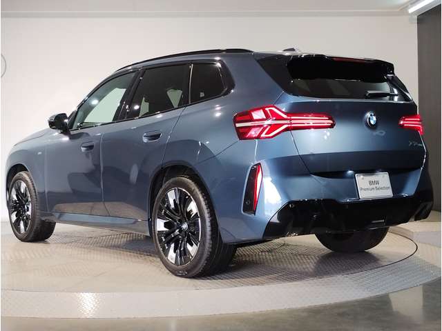 BMW X3 8