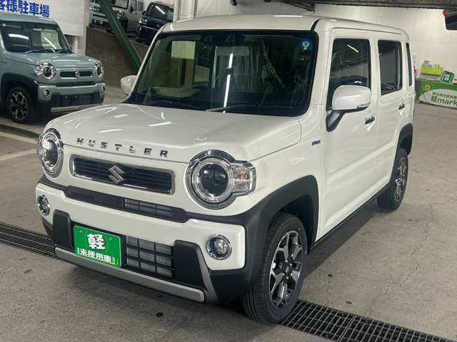 Suzuki Hustler 11