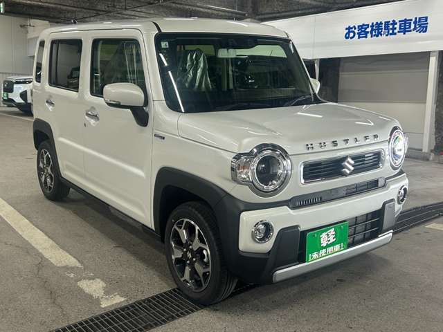 Suzuki Hustler 10