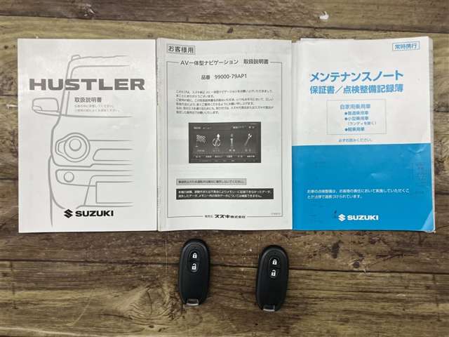 Suzuki Hustler 10