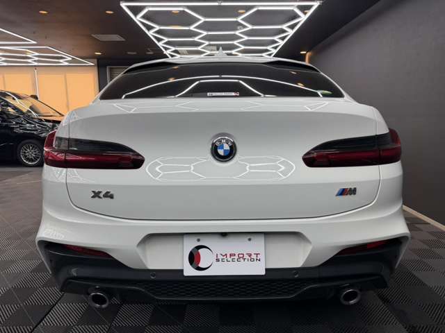 BMW X4 10