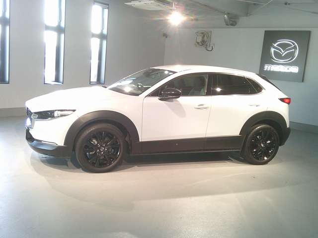 Mazda CX-30 8