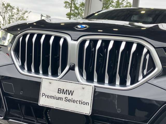 BMW X6 12
