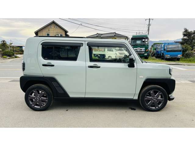 Daihatsu Taft 6