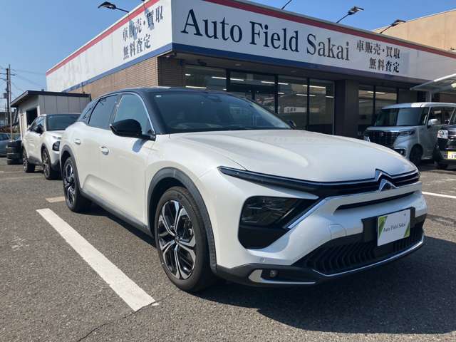 Citroen C5 X 4