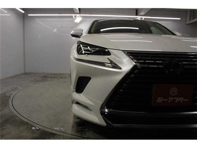 Lexus NX 12