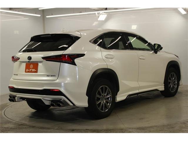 Lexus NX 6