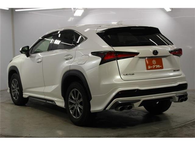 Lexus NX 8