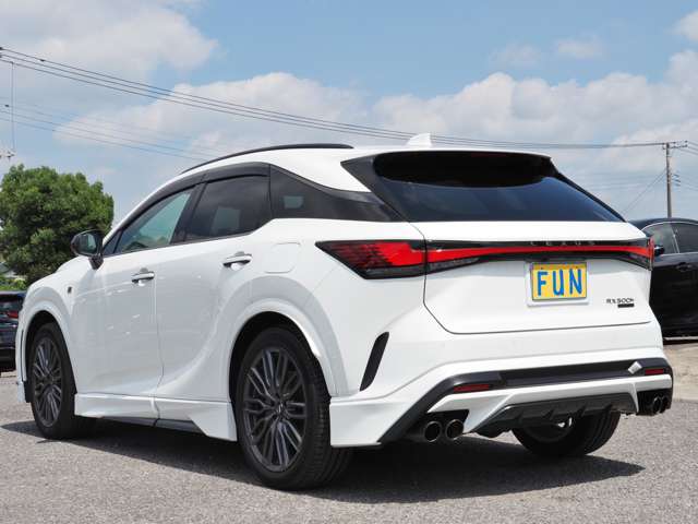 Lexus RX 6