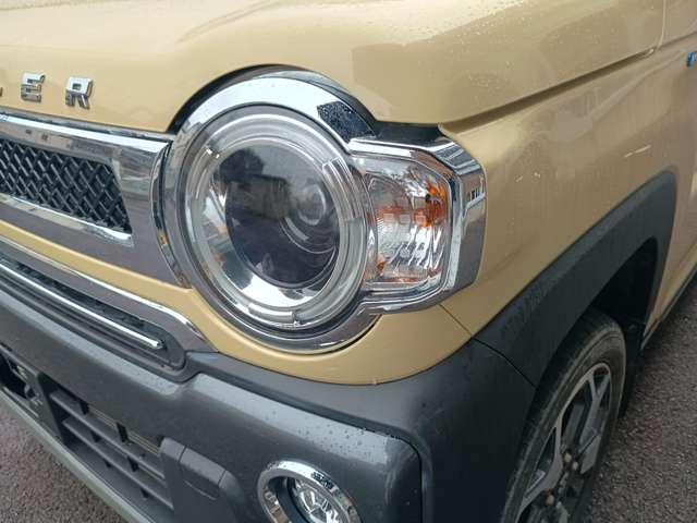 Suzuki Hustler 10