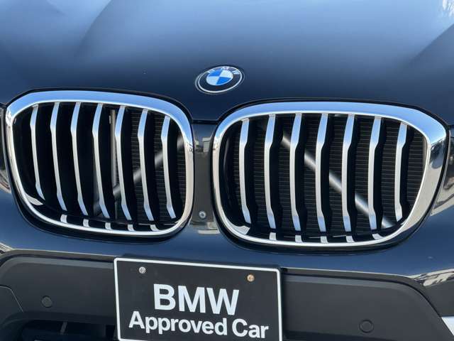 BMW X3 10