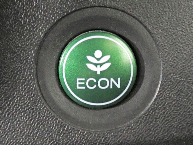 Honda Stepwgn 11