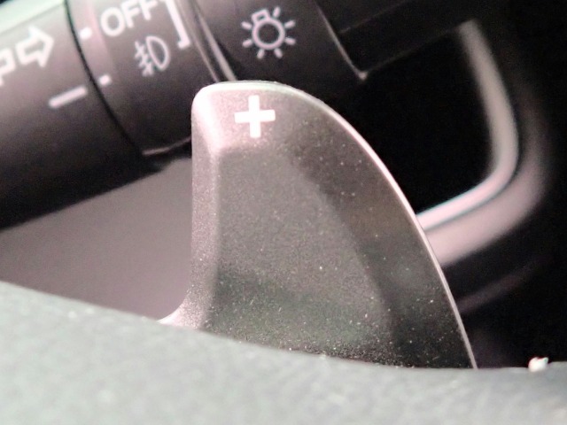 Honda Stepwgn 10