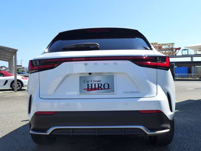 Lexus NX 11