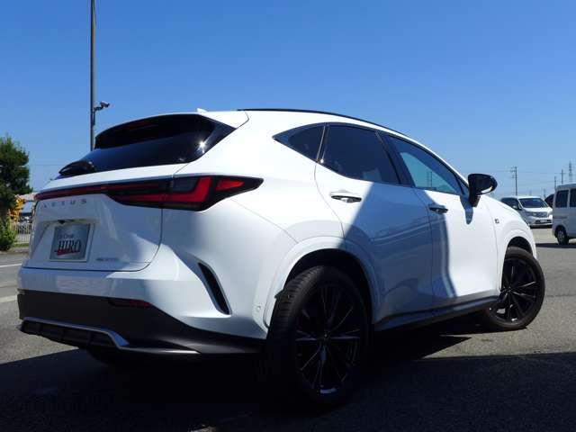 Lexus NX 12
