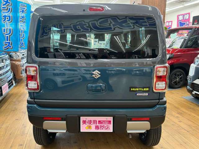 Suzuki Hustler 11