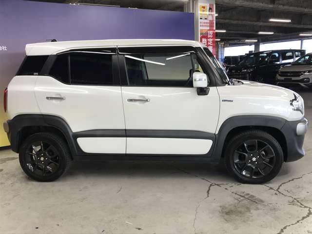 Suzuki XBEE 11