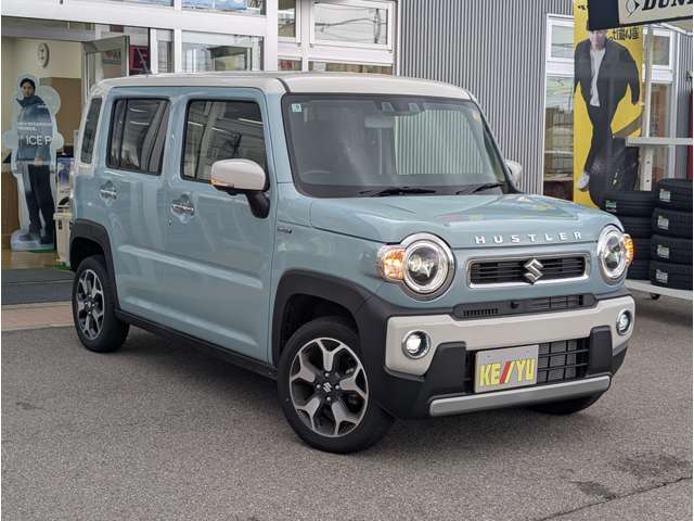 Suzuki Hustler 9