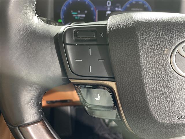 Toyota Vellfire 10