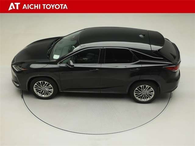 Lexus RX 11