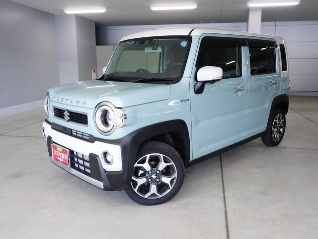 Suzuki Hustler 12