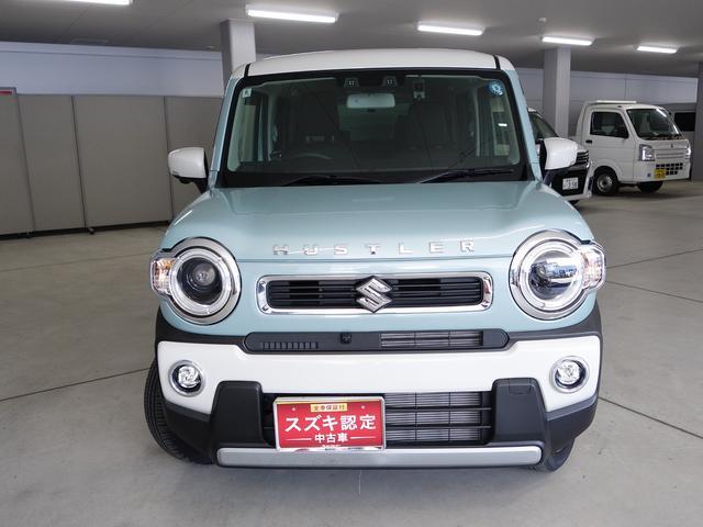 Suzuki Hustler 6