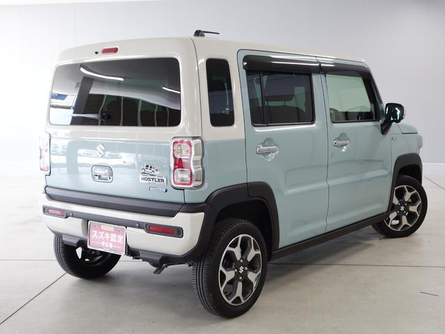 Suzuki Hustler 8