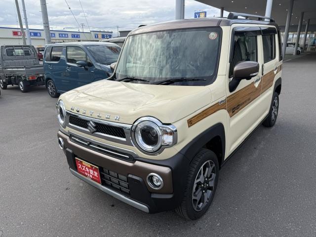 Suzuki Hustler 11