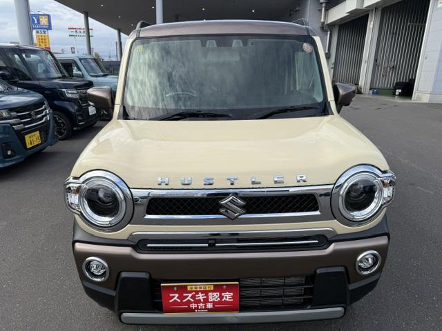 Suzuki Hustler 6