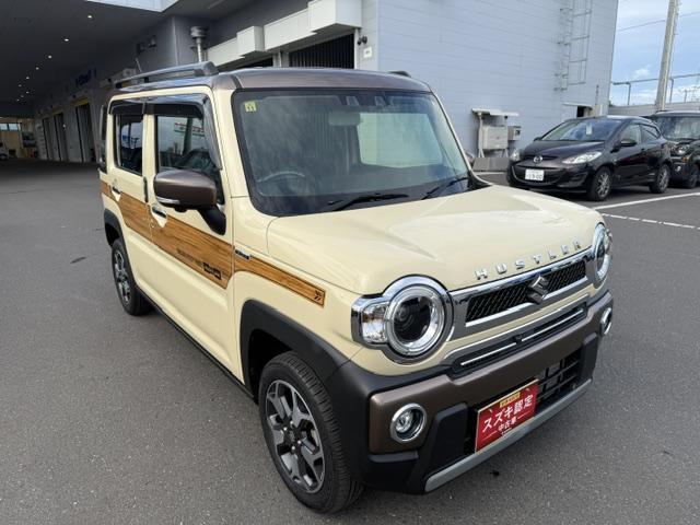 Suzuki Hustler 10