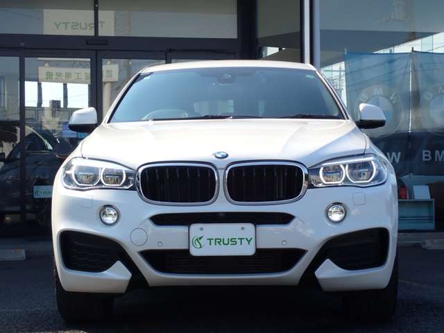 BMW X6 9