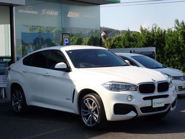 BMW X6 10