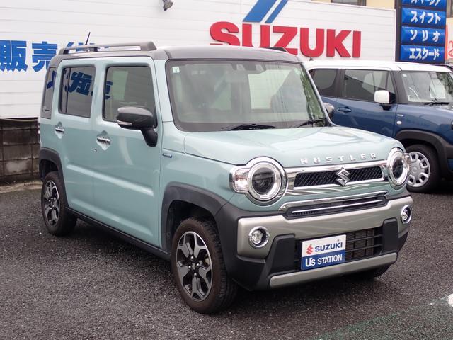 Suzuki Hustler 6